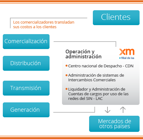 Estructura del mercado