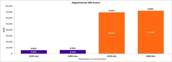 Seguimiento SIN enero 2020