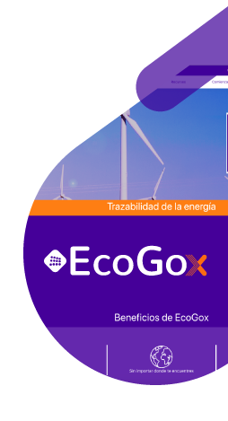 ecogo 1